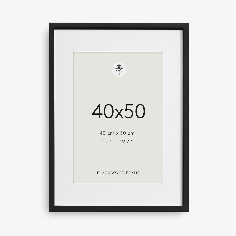 Črn okvir za slike, 40x50