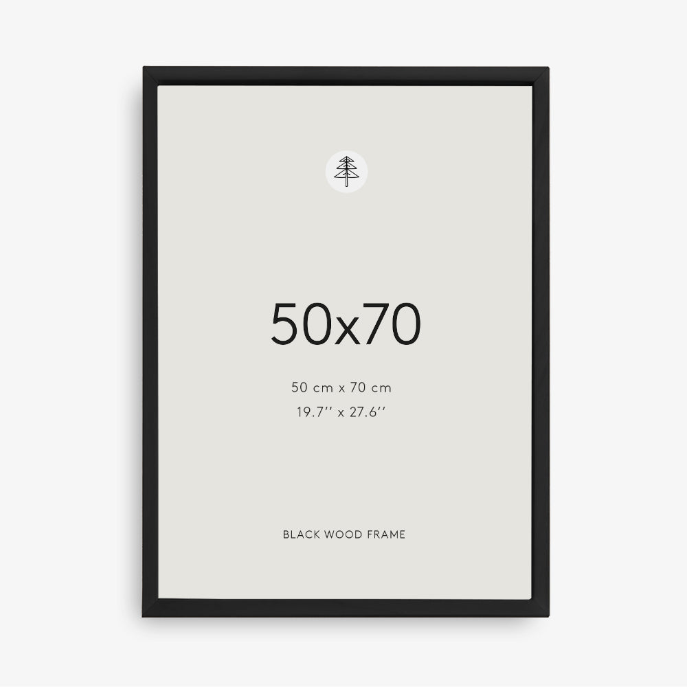 Črn okvir za slike, 50x70