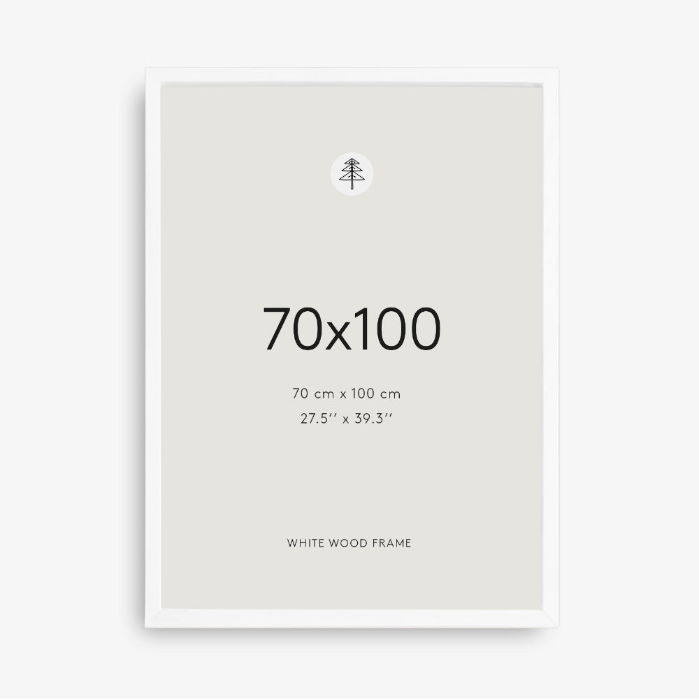 Bel okvir za slike, 70x100