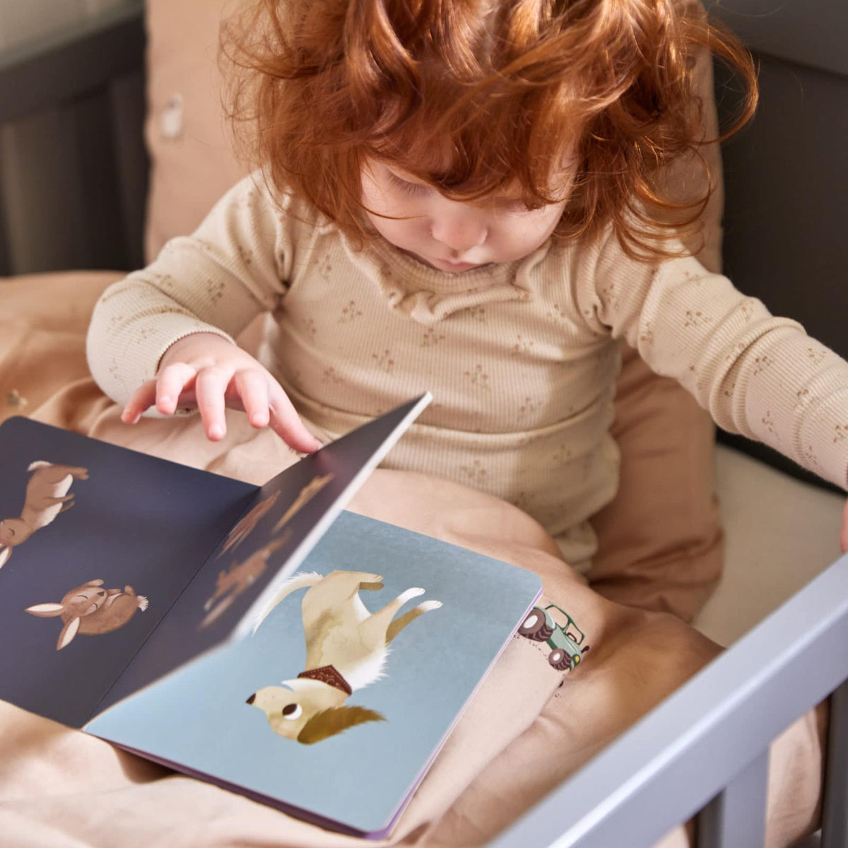 Baby book - Count to Ten