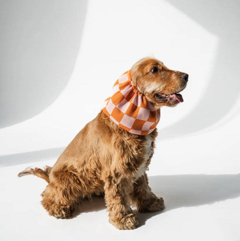 Knitted Dog Snood - Orange Checkered