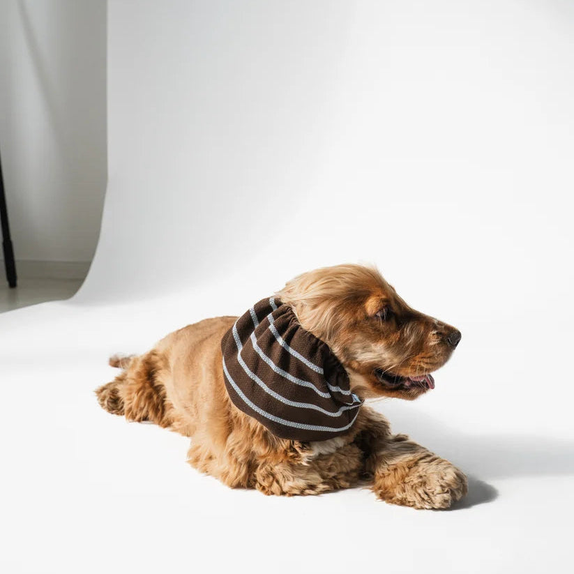 Knitted Dog Snood - Stripes