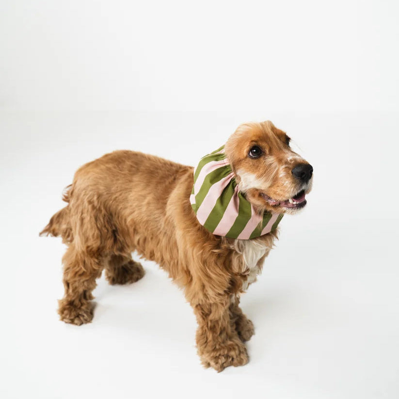 Dog Snood Stripes Green Pink