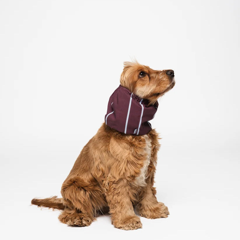 Knitted Dog Snood - Burgundy