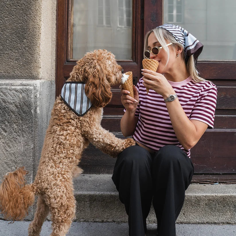 Dog Bandana Blue Stripes