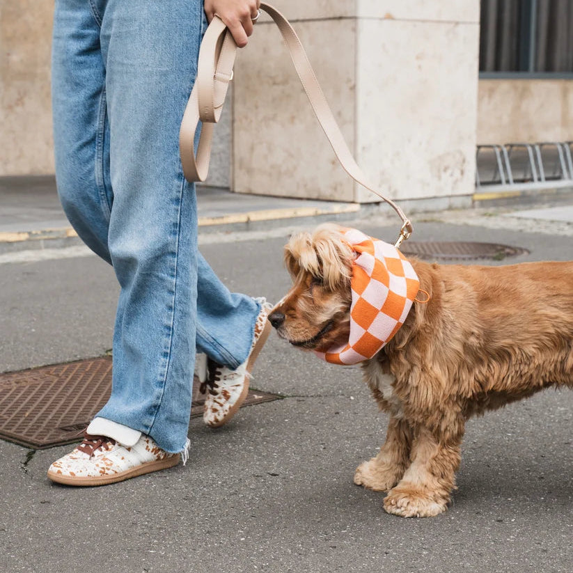 Knitted Dog Snood - Orange Checkered