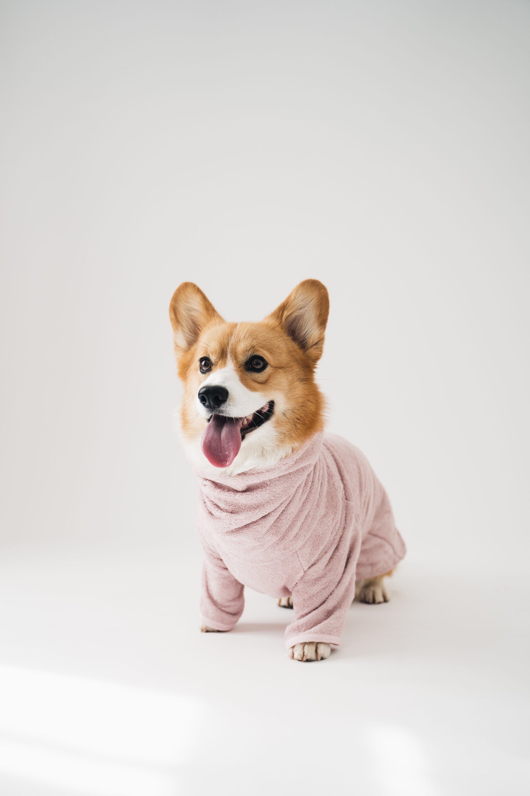 Dog Bathrobe, Blush Pink