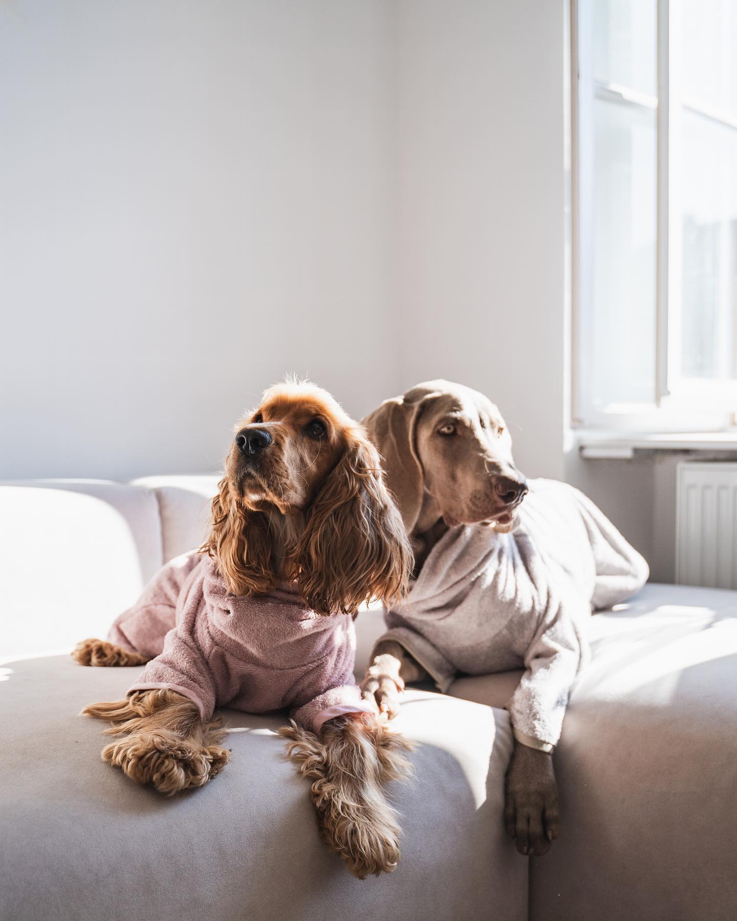 Dog Bathrobe, Blush Pink