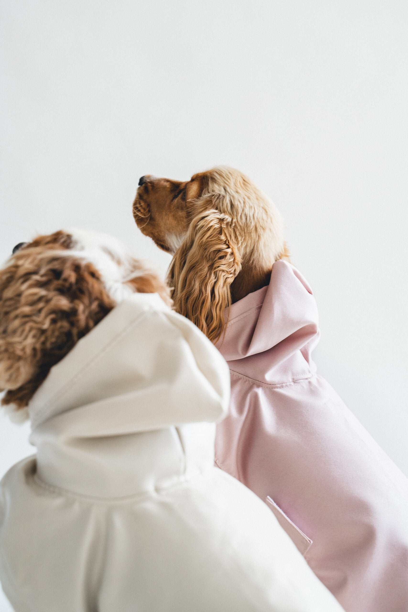 Dog Coat Lands End Dog Hoodie Lands End Dog Jacket Coat Lot Of