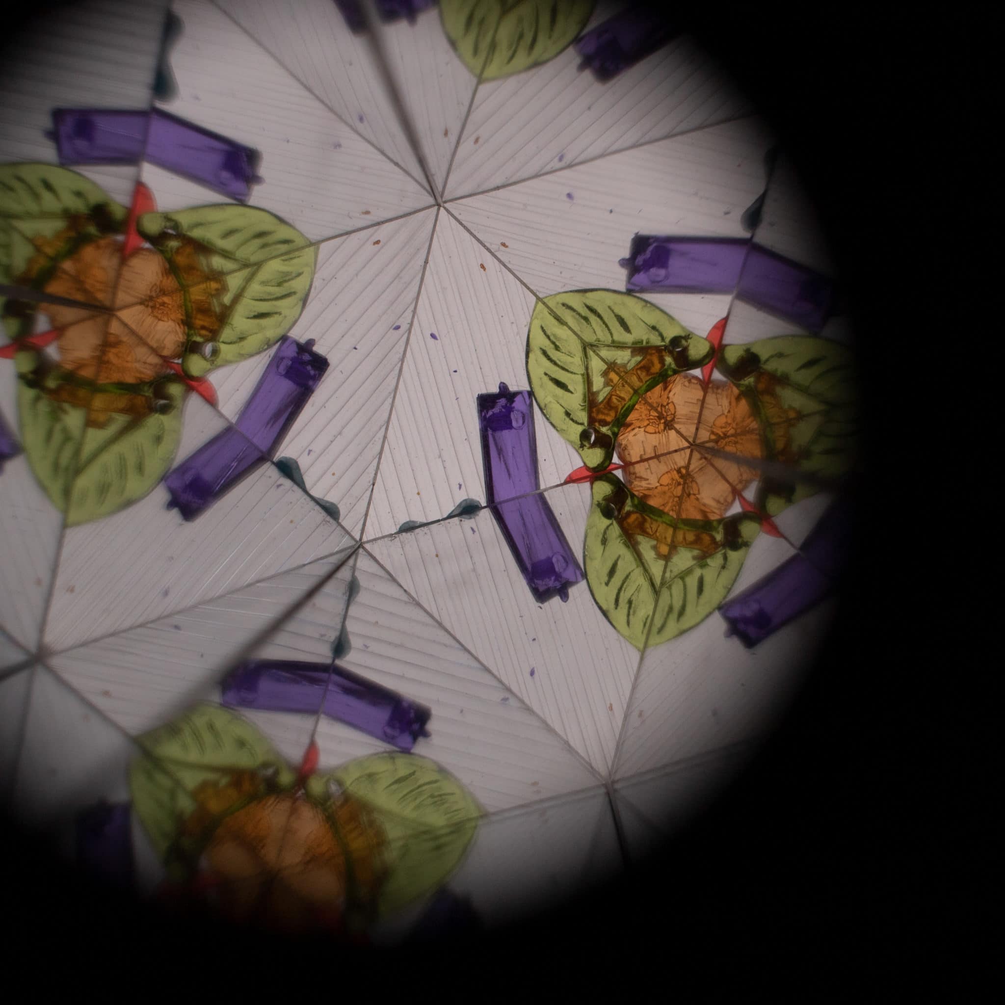 Circular design with turtles, leaves, and purple ribbons on a white background