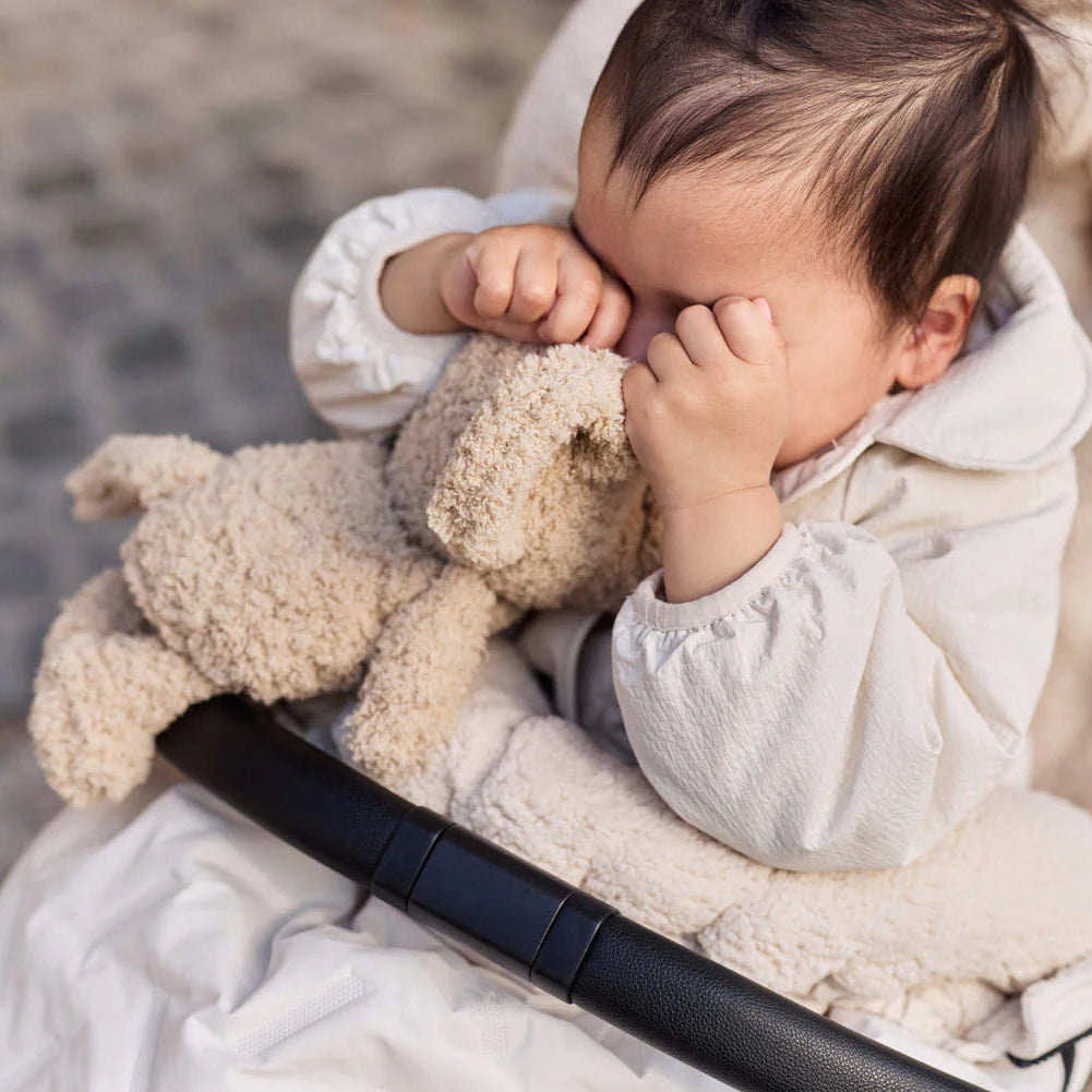 Baby in a stroller with a teddy bear, surrounded by soft textures