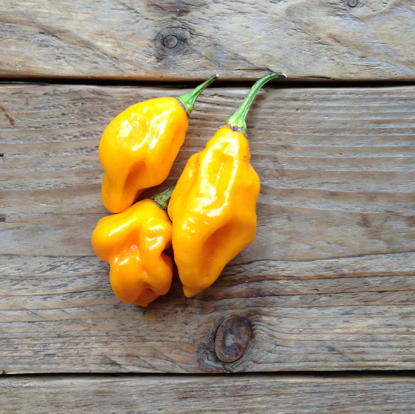 Three yellow peppers on a wooden surface