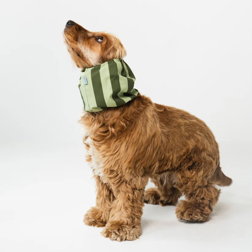 Knitted Dog Snood - Green Stripes