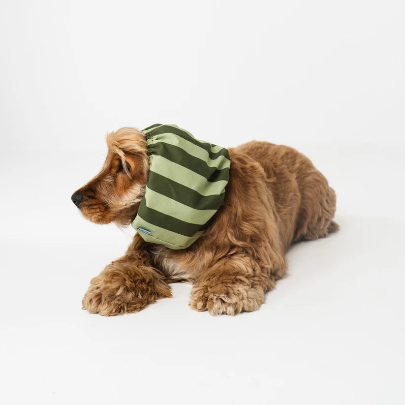 Knitted Dog Snood - Green Stripes