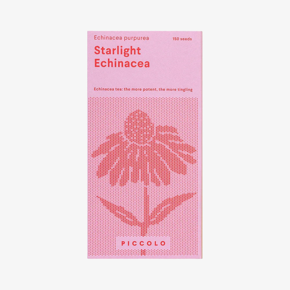 Ehinacea Starlight