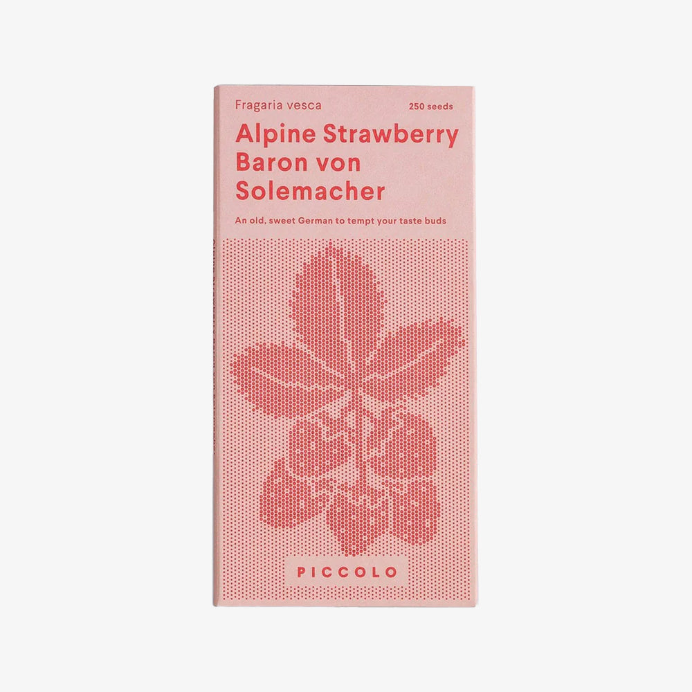 Alpine Strawberry Baron Von Solemacher