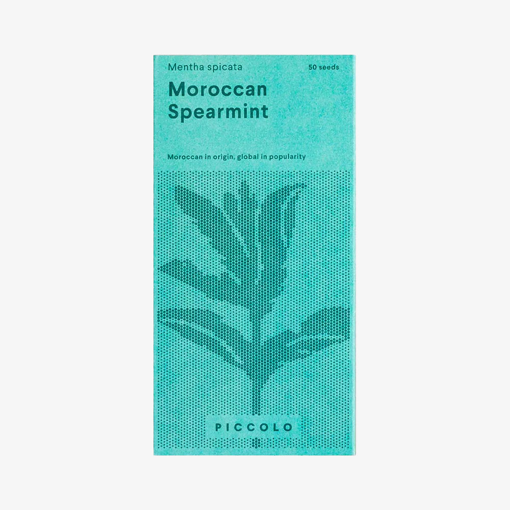 Semena Maroška zelena meta