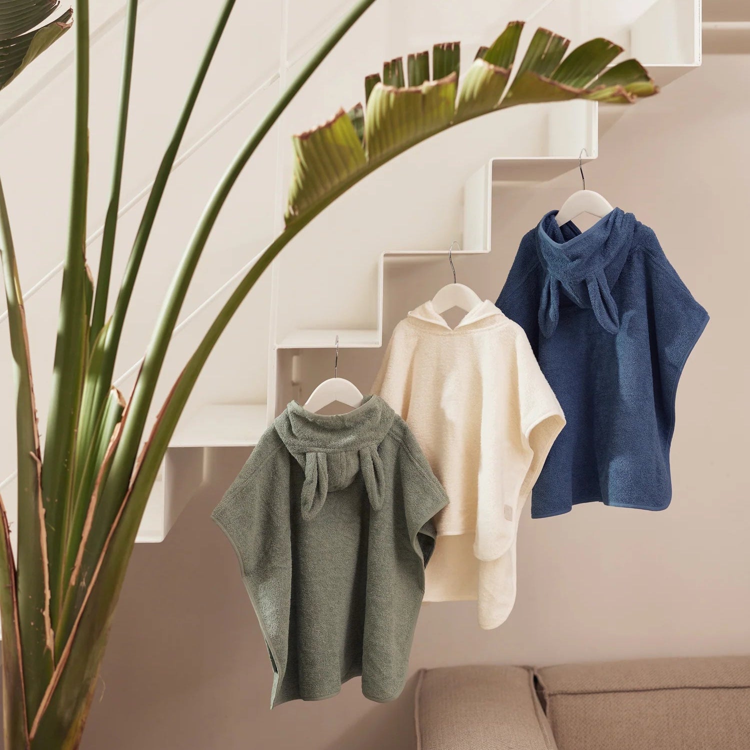 Three hoodies hanging on a rack with a plant in the foreground