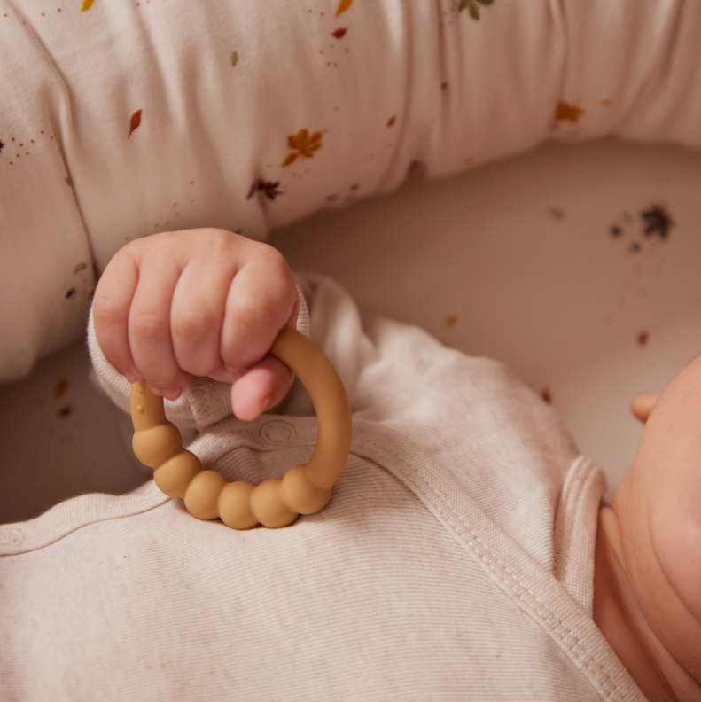 Silicone teether ring 2-pack - Vintage Rose